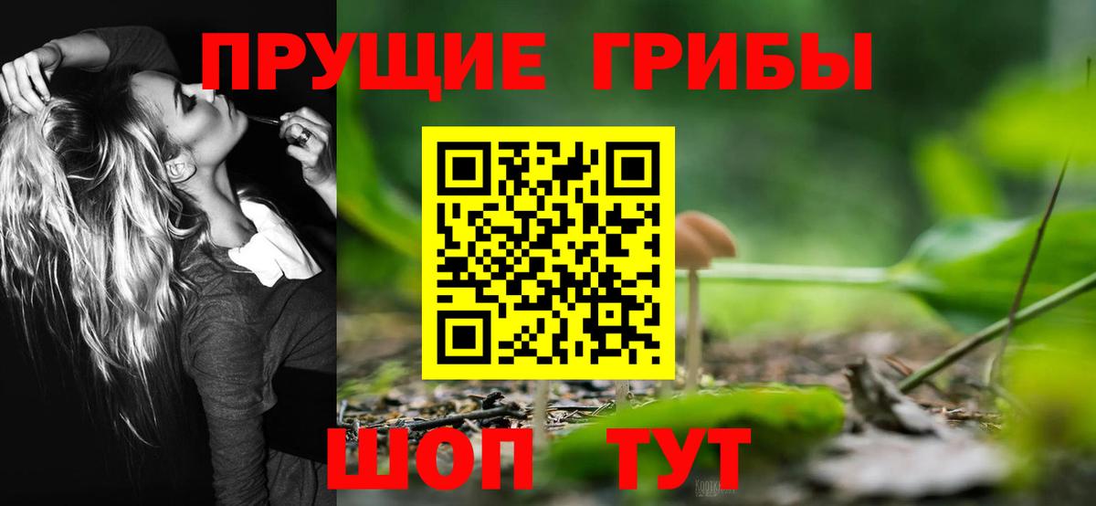 Псилоцибиновые грибы ЛСД  Вход с VPN  Знаменск 
